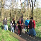 Schůzka 22.4.2015 (3)