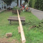 1. Májka u školky (4)