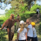 Pohádkový les (11)