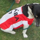 Klábův memoriál 2015 (97)