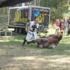 Vrš Kamýk 5.9 (064)