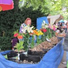 Zahrada Čech 2015 (6)