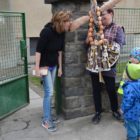 Vynášení Zimy 2017 (7)