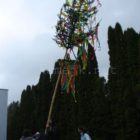 DSC07976