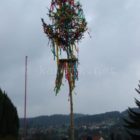 DSC07980