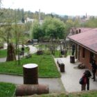 DSC08318