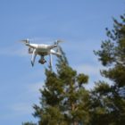 Hledání pokladu 30.5.17 (17)