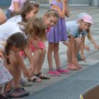 Hopsík 31.5.2017 (14)