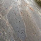 Olejovyflek12122018 (3)