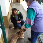 Lázec 29.1.2021 (7)